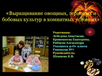 Презентация научно-исследовательской работы по теме Выращивание зерновых, овощных, бобовых культур в комнатных условиях