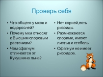 Презентация по биологии на тему Плауны,хвощи,папоротники(5 класс)