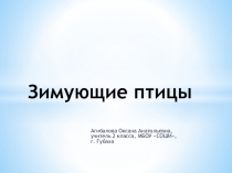 Презентация к уроку развития речи Зимующие птицы