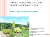 Презентация по Ландшафтоведению  Уход за деревьями