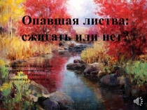 Презентация Опавшая листва: сжигать или нет?