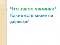 Презентация по окружающему миру Что такое хвоинки