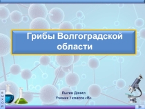 Презентация по биологии на тему Грибы Волгоградской области