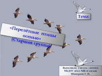 Перелётные птицы осенью (Старшая группа)
