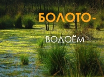 Презентация по окружающему миру