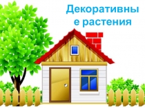 Презентация к занятию по подготовке к школе на тему Декоративные растения