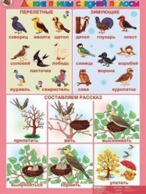 Презентация для родителей Познаем окружающий мир