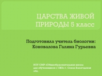 Презентация Царства живой природы