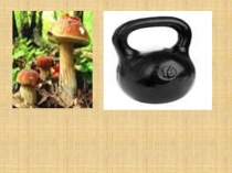 Презентация по обучению грамоте. Буква Г г