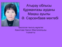 өрмекшітәрізділер