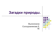 Презентация по окружающему миру Загадки природы