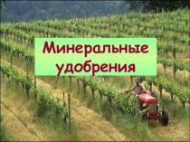 Презентация Минеральные удобрения для студентов СПО