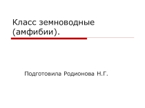 Презентация по биологии на тему  Класс земноводные (амфибии) (7 класс)