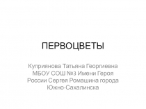 Презентация по окружающему миру Первоцветы
