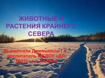 Интерактивная игра Животные и растения Крайнего Севера
