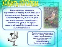 Презентация к уроку русского языка: Правописание гласных и согласных в корне слова 4 класс