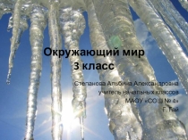 Презентация по окружающему миру