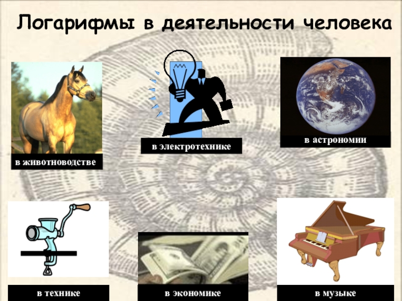 Презентация к уроку алгебры в 11 классе Общие методы решения показательных и логарифмических уравнений Логарифмы в деятельности человекав животноводстве в астрономиив экономикев электротехникев музыке в технике Логарифмы в деятельности человекав животноводстве в астрономиив экономикев электротехникев музыке в технике