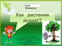 Почемучка Как растения дышат?