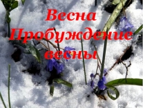 Презентация Весна. Пробуждение весны