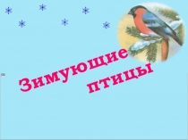 Презентация к проектной работе Зимующие птицы