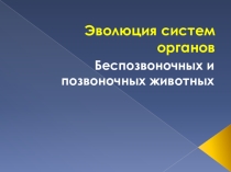 Эволюция систем органов животных
