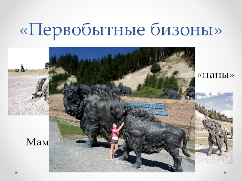 Презентация по краеведению Жемчужина Ханты – Мансийска - Самаровский останец «Первобытные бизоны»Добрый взгляд «папы» Мама с детенышем «Первобытные бизоны»Добрый взгляд «папы» Мама с детенышем