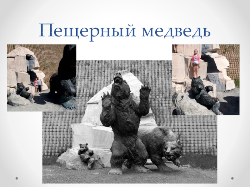 Презентация по краеведению Жемчужина Ханты – Мансийска - Самаровский останец Пещерный медведь Пещерный медведь