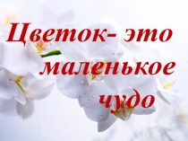 Презентация к внеклассному мероприятию Праздник цветов