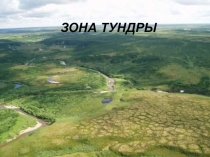 Презентация по географии на тему Зона тундры (8класс)
