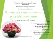 Презентация к проекту Выращивание рассады петунии разными способами