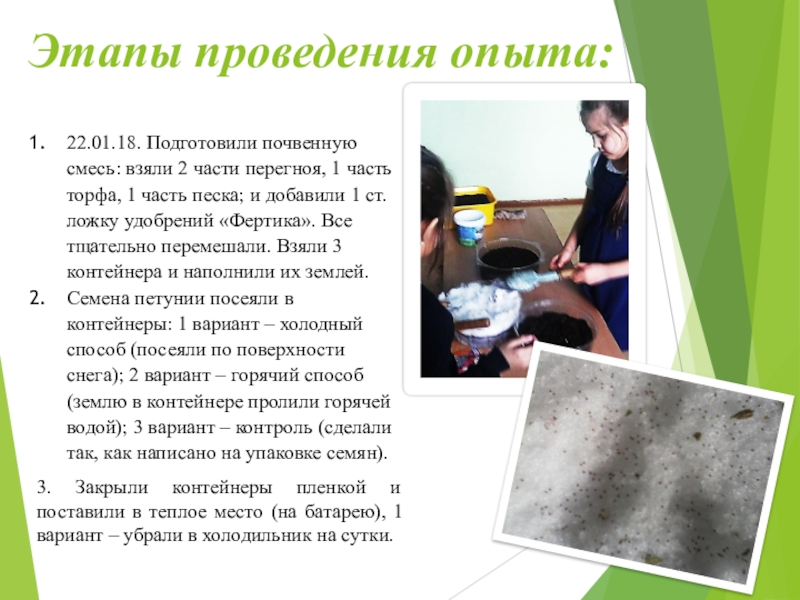 Презентация к проекту Выращивание рассады петунии разными способами Этапы проведения опыта:22.01.18. Подготовили почвенную смесь: взяли 2 части перегноя, 1 Этапы проведения опыта:22.01.18. Подготовили почвенную смесь: взяли 2 части перегноя, 1 часть торфа, 1 часть песка; и