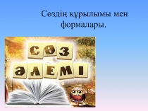 Презентация по казахскому языку на тему Сөздің грамматикалық құрылымы