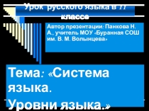Презентация к уроку по русскому языку Система языка. Уровни языка 11 класс