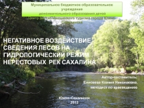 Негативное воздействие сведения лесов на гидрологический режим нерестовых рек Сахалина