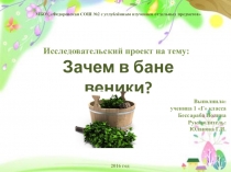 Исследовательский проект Зачем в бане веники