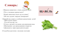 Презентация по русскому языку  Жи-ши, ча-ща, чу-щу.
