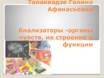 Разработка урока по биологии в 8 классе на тему: Органы кровообращения