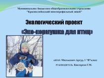 Экологический проект Эко-кормушка для птиц