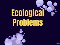 Презентация по английскому языку на тему