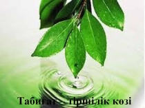 Презентация по казахскому языку Қоршаған орта