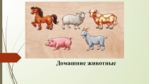 Презентация Домашние животные по предмету Мир природы и человека 3 класс