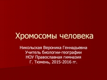 Презентация к занятию в рамках факультатива Генетика человека Наследственный аппарат человека