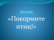 Презентация по экологической акции Покормим птиц зимой