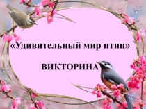 Презентация Удивительный мир птиц.