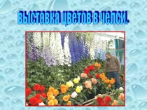 Презентация Выставка цветов в Челси