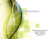 Презентация по биологии на тему Ткани животных (7 класс)