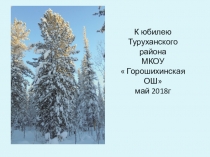 Презентация к юбилею Турухансого района 2018г
