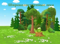 Презентация Растения и животные широколиственного леса (внеурочный курс)