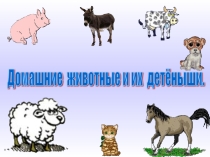 Домашние животные и их детеныши. Презентация для младшей группы.